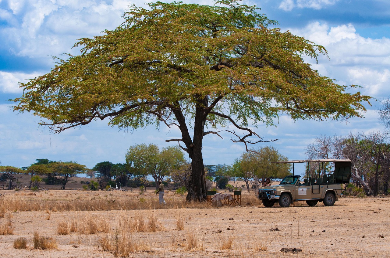 Tanzania Express Safari