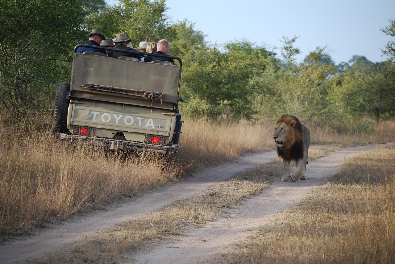 Tanzania Big 5 Safari